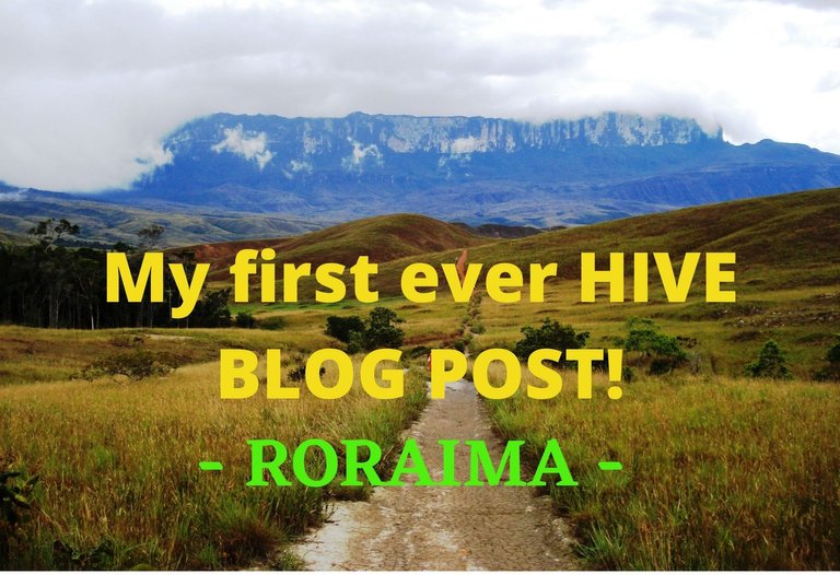 My first ever HIVE BLOG POST!.jpg