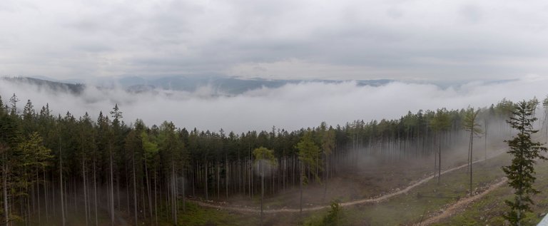 _M4A3318-Pano.jpg