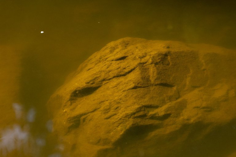 IL5A9877.jpg