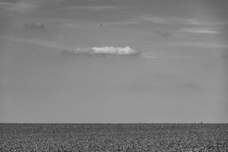 IL5A0140.jpg
