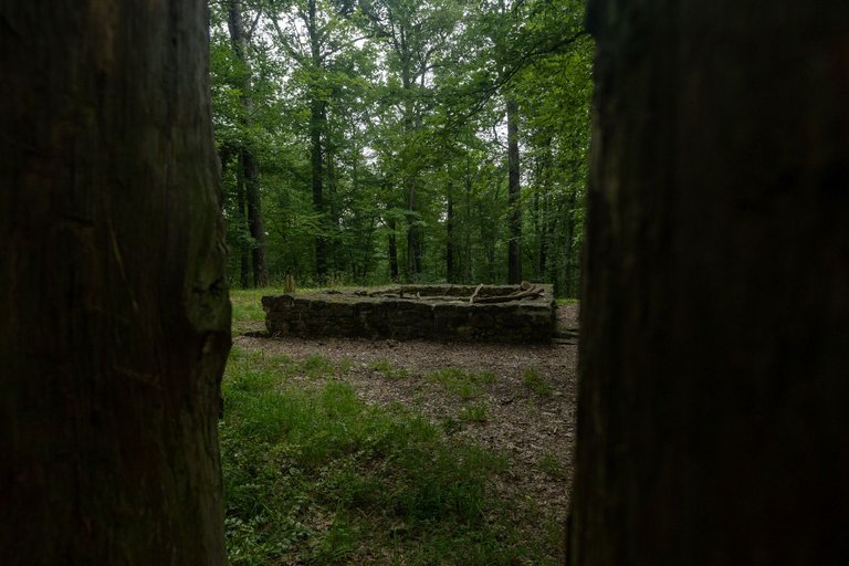 IL5A7665.jpg