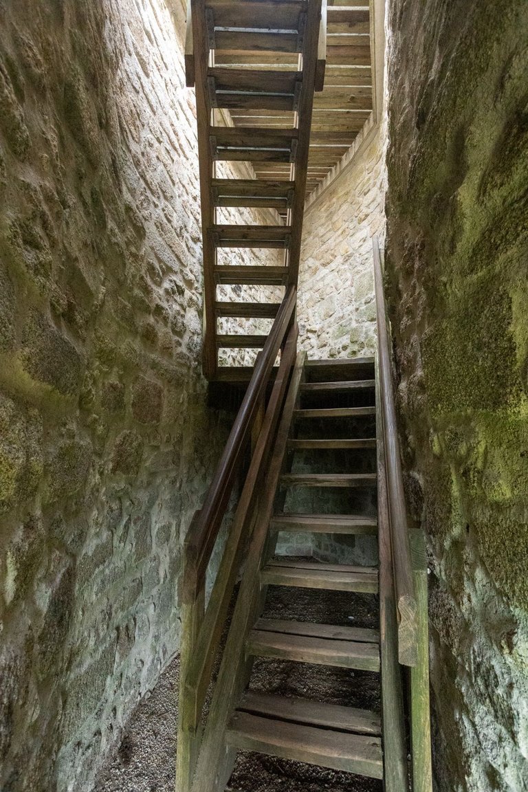 IL5A9681.jpg