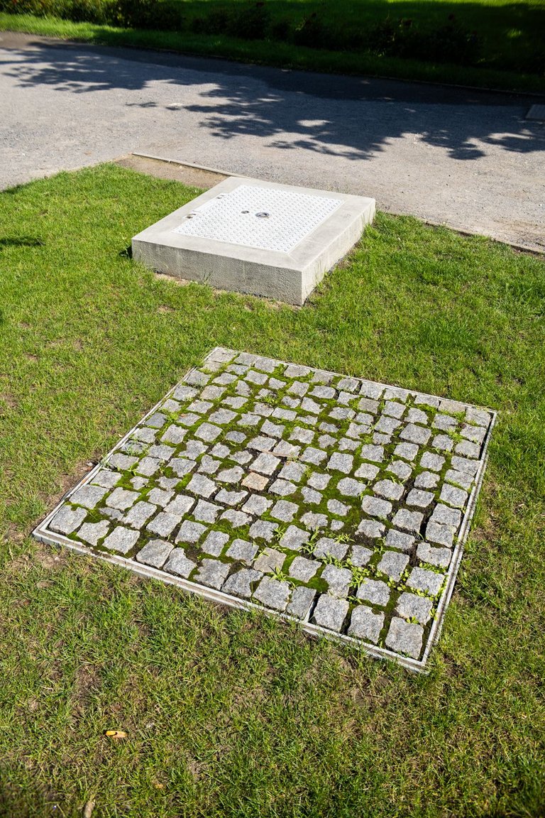 IL5A4537.jpg
