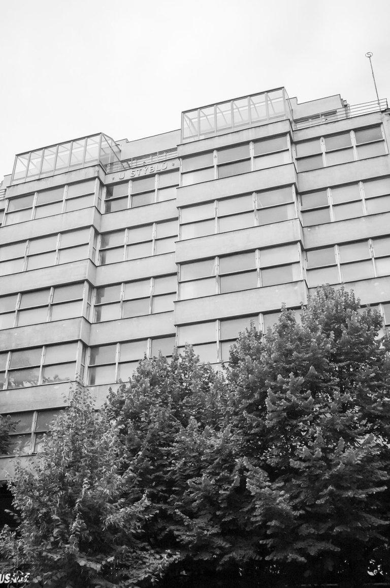 DSCF2685.jpg