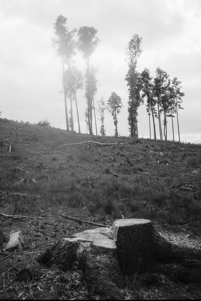 R1-05829-0015.jpg