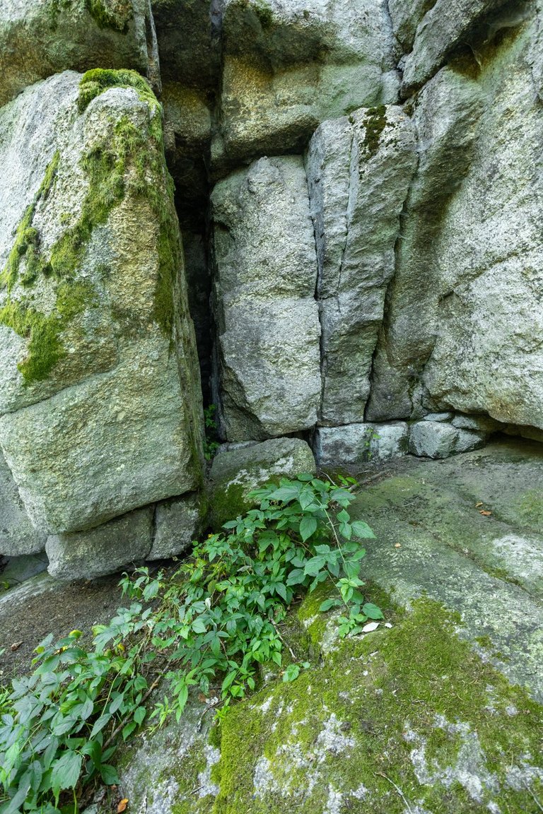 IL5A9830.jpg