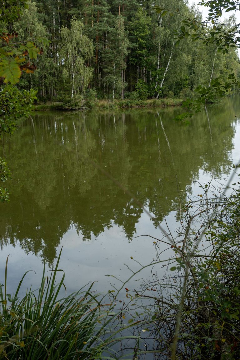 IL5A9755.jpg