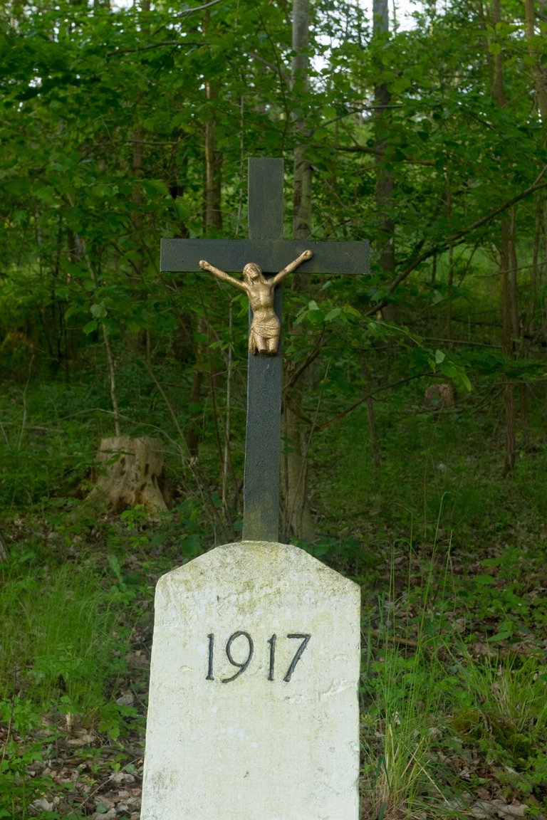 _M4A2117.jpg