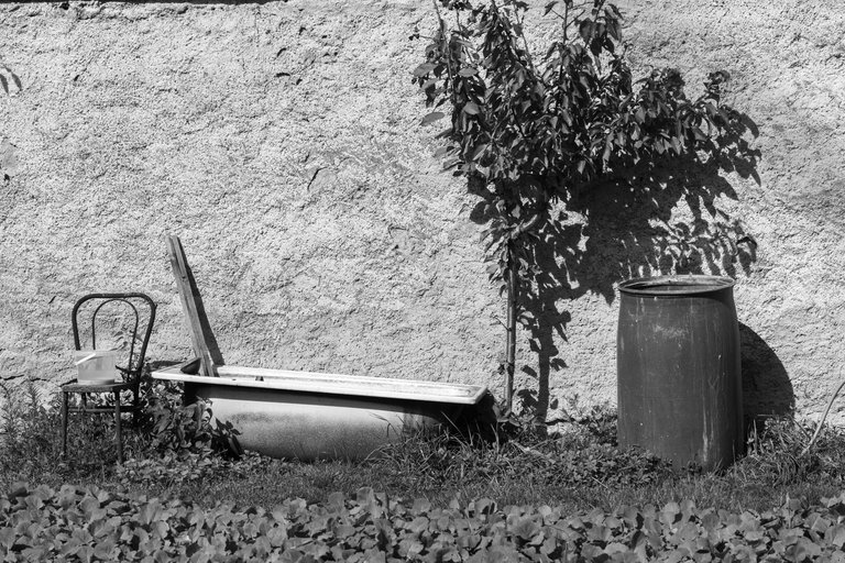 IL5A0121.jpg