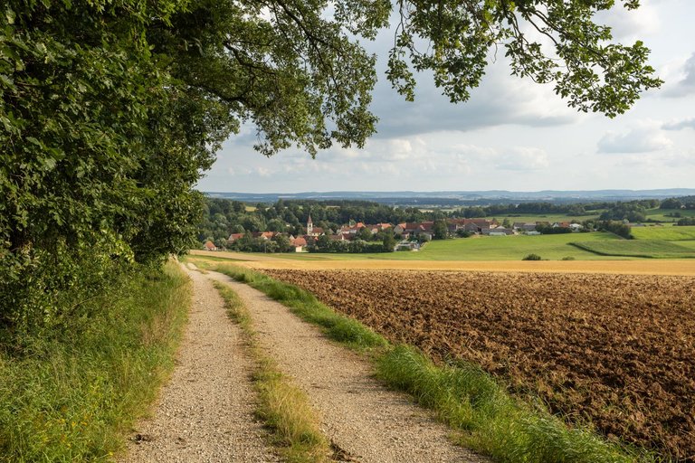 IL5A7774.jpg