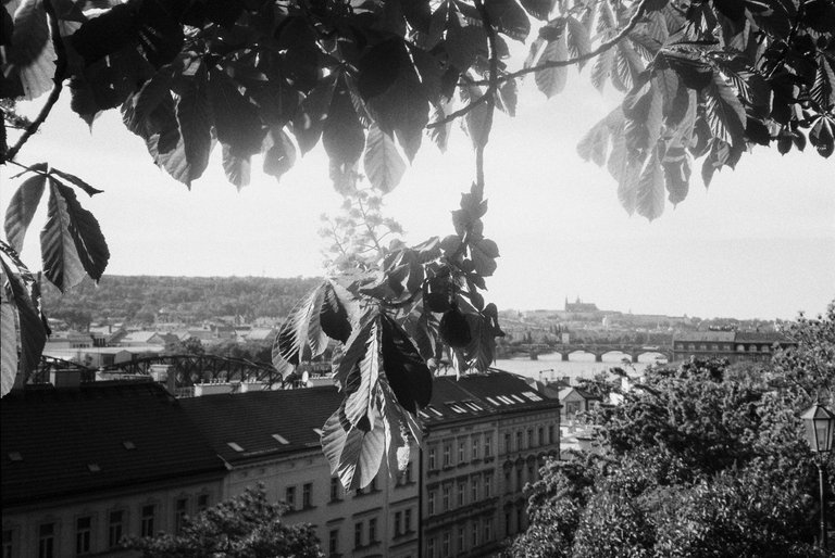 R1-05829-0003.jpg