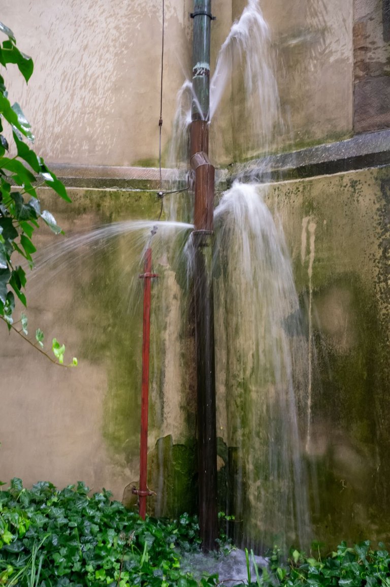 DSCF2716.jpg