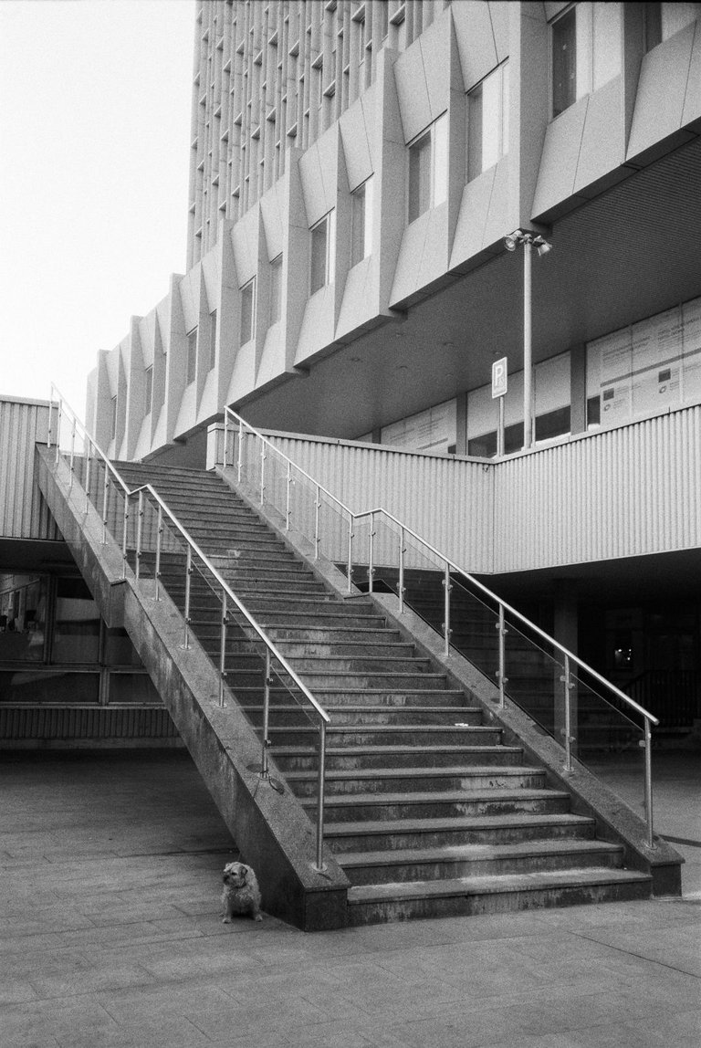 R1-03900-0013.jpg