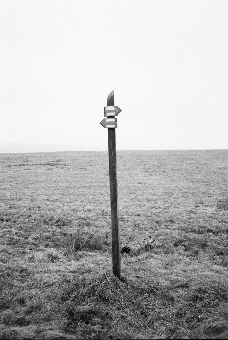 R1-03915-0023.jpg