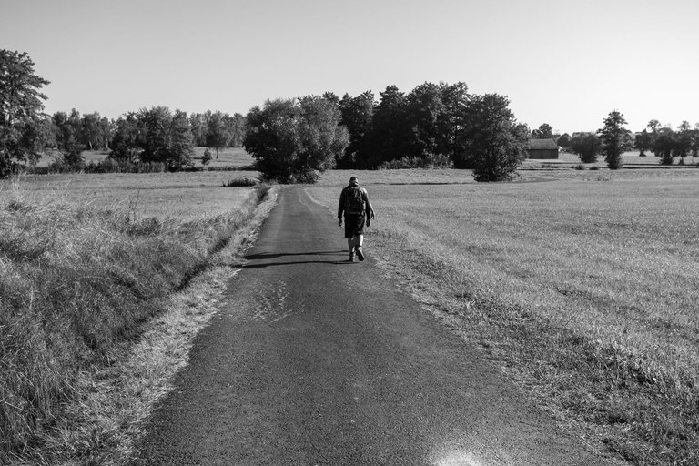 IL5A9798.jpg