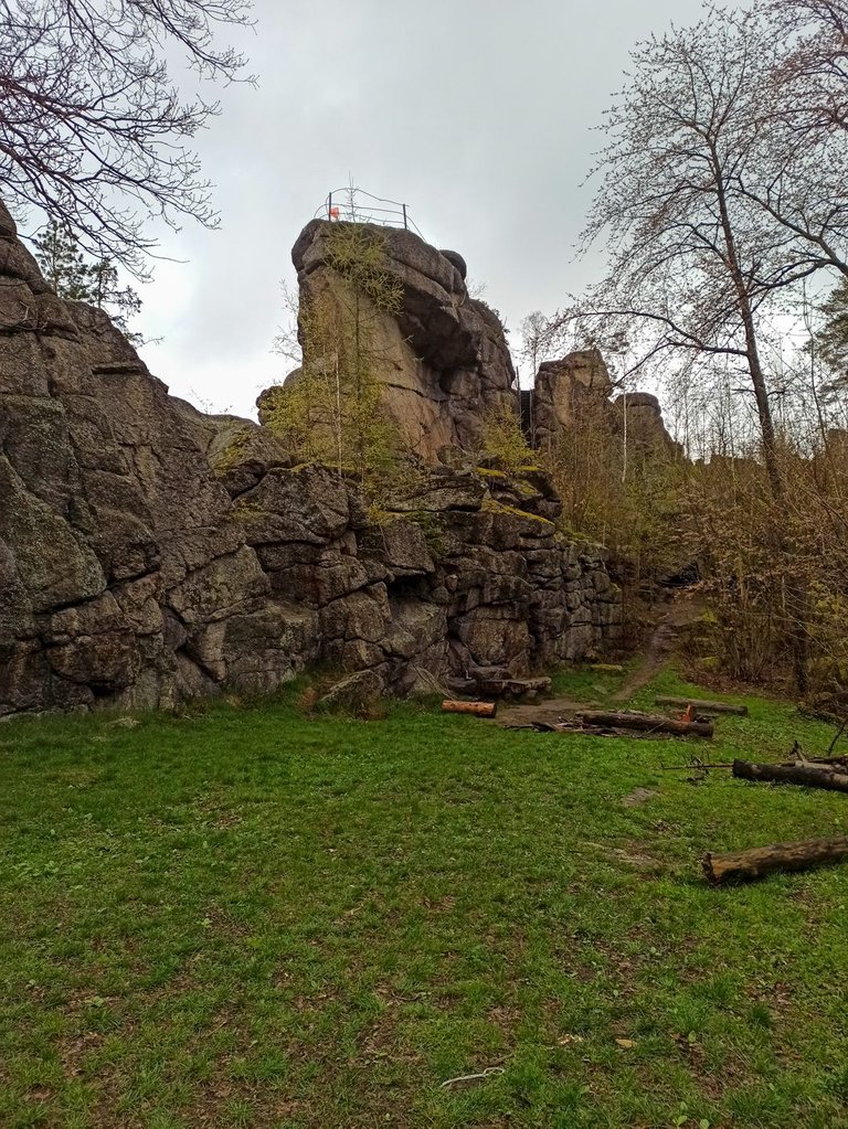 IMG_20230429_164614.jpg