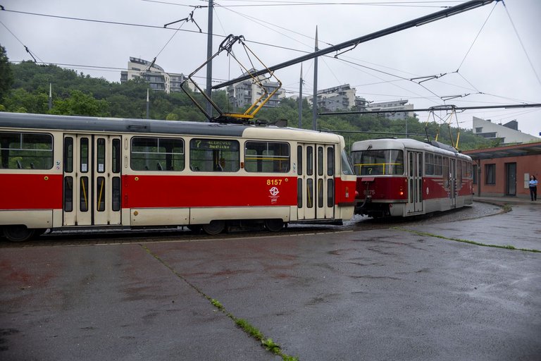 IL5A3165.jpg