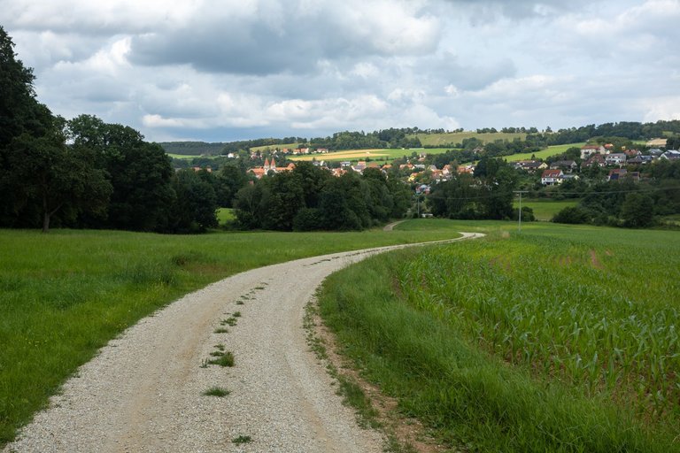 IL5A7757.jpg