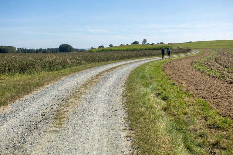 IL5A9807.jpg