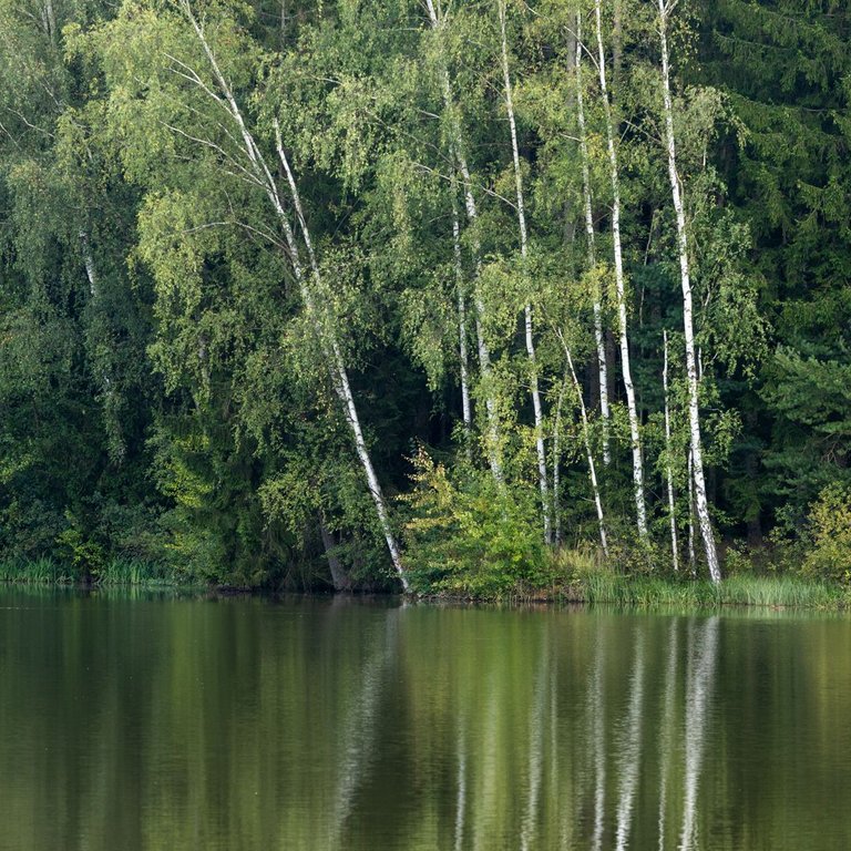 IL5A9762.jpg