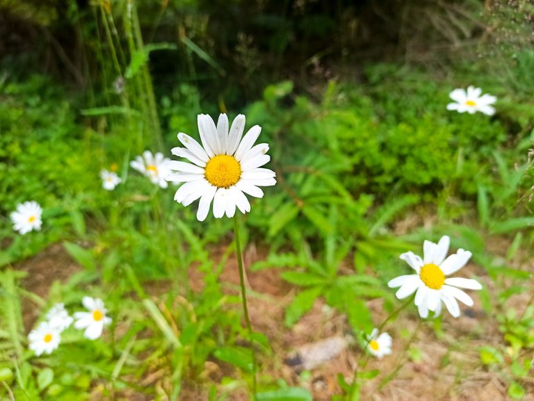 IMG_20220707_080451.jpg