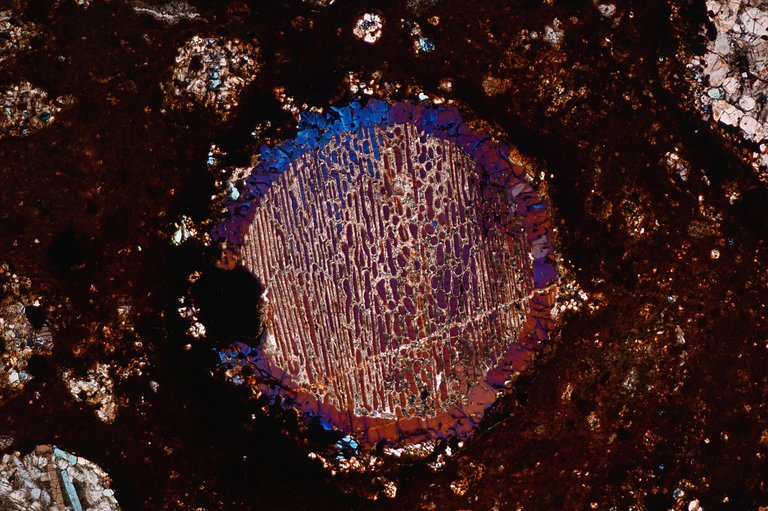 NWA 5930 Meteorite Thin Section - Image 9. Attribution-NonCommercial-ShareAlike 2.0 Generic via Flickr: https://flic.kr/p/2ja87u3