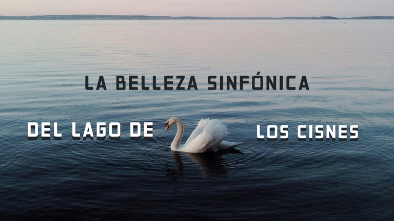 EL LAGO.png