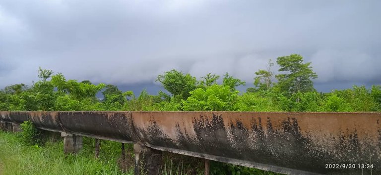 IMG_20221010_215100_059.jpg