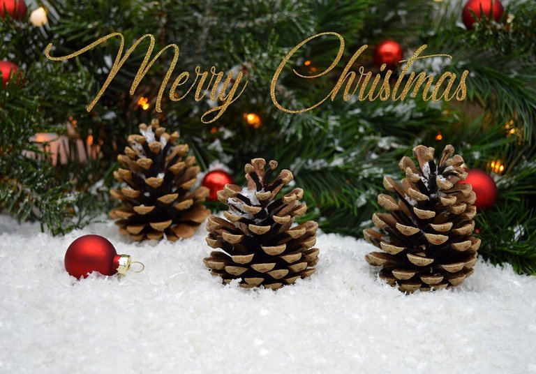 merry-christmas-6814797_1280(2).jpg