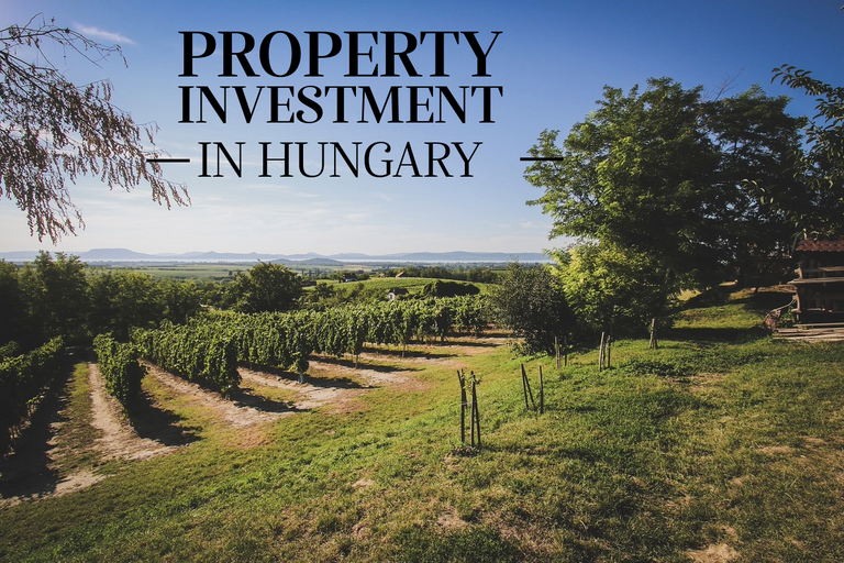 property investment hungary.png