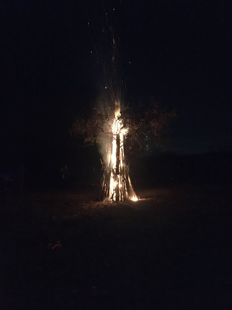 tall fire.JPG