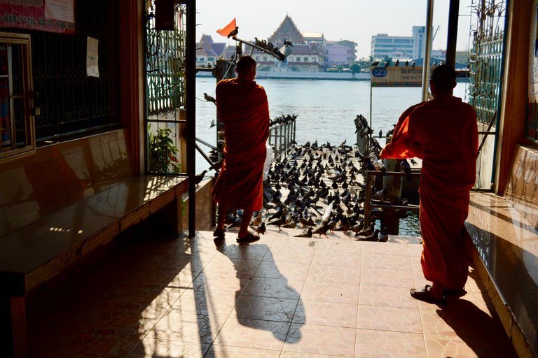 Pigeons and Monks in Bangkok