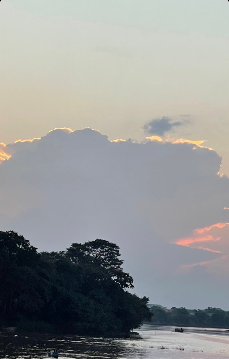 Embracing Solitude in a Loud World
