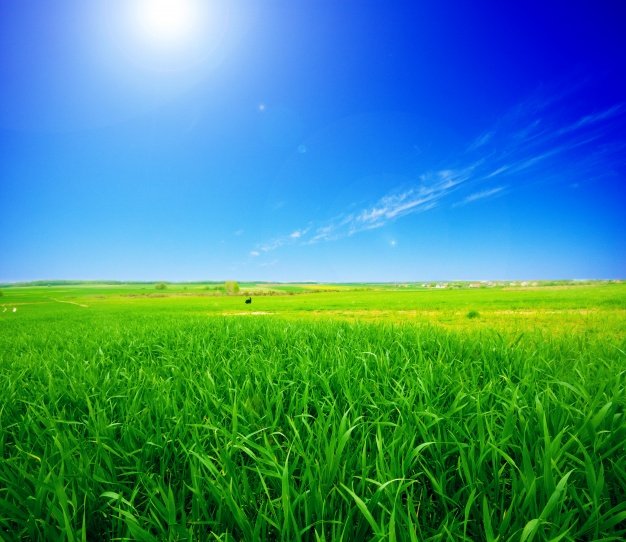 green-field-with-the-sun_1160-878.jpg