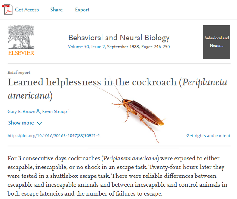 elseviercockroach.png