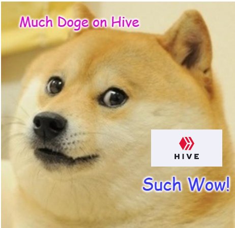 doge-hive-meme.jpg