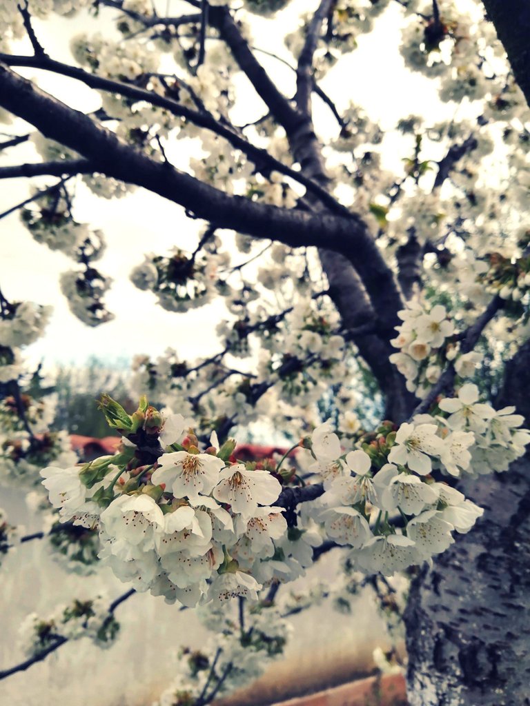 IMG_20210823_201150.jpg