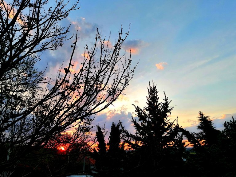 IMG_20210518_004239.jpg
