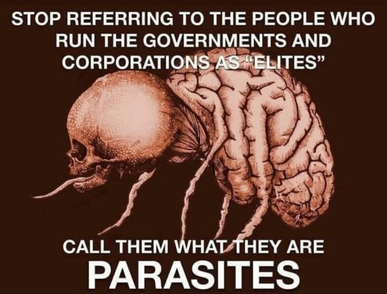 GovtCorp Are Parasites.jpg