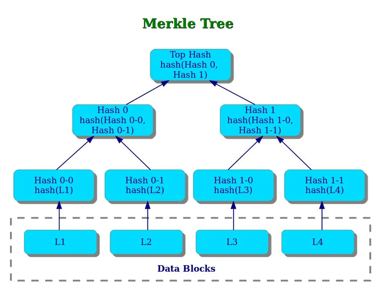 merkle_tree.png