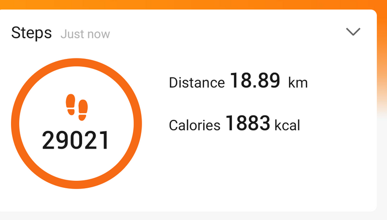 Screenshot_2023-02-05-15-38-17-910_com.xiaomi.hm.health.png