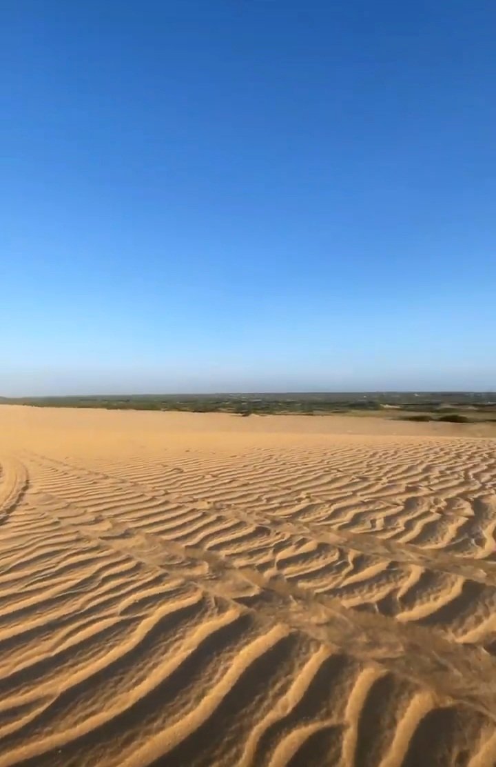 desertangeli.jpg