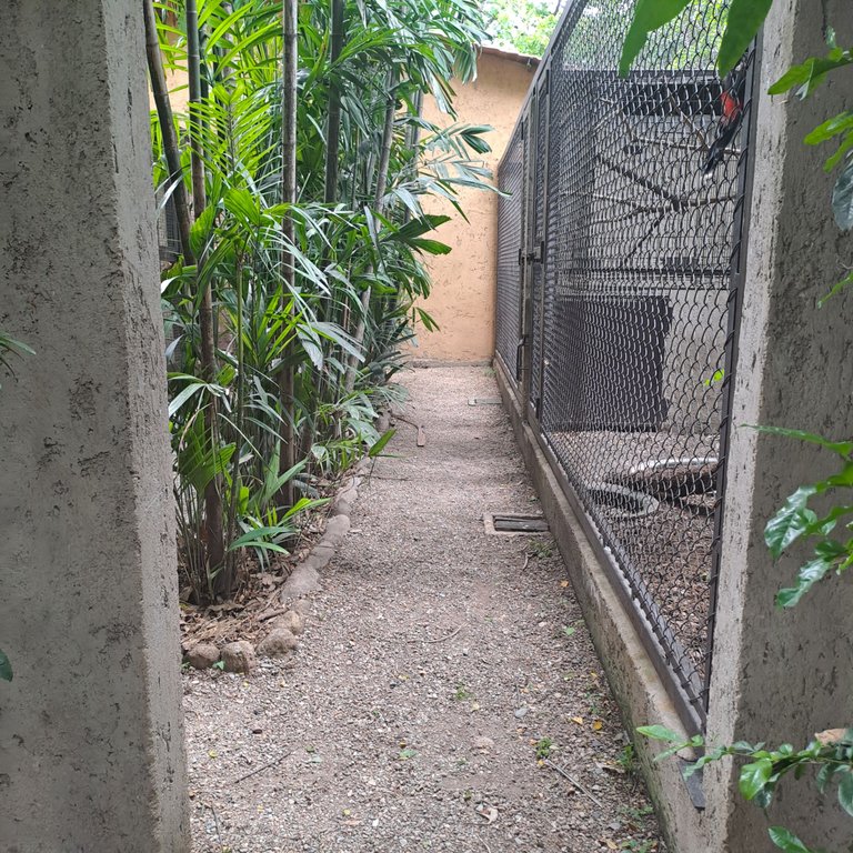 20250524_125837.jpg