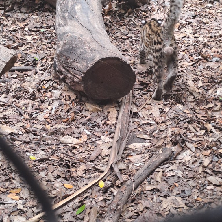 20250524_125112.jpg