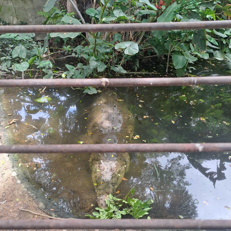 20250524_121156.jpg