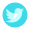 icons8-twitter-circled-30.png