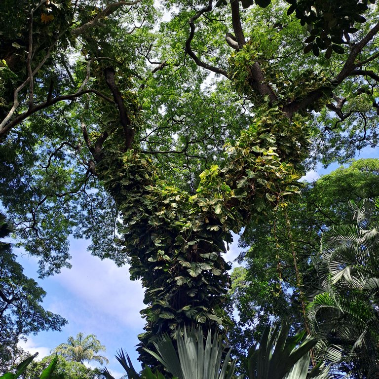 20250524_094624.jpg