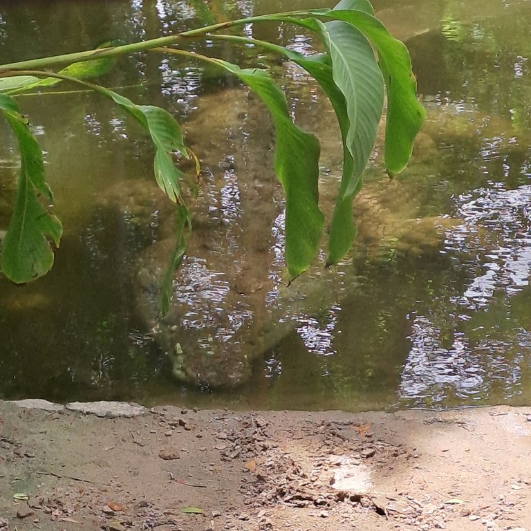 20250524_121745.jpg