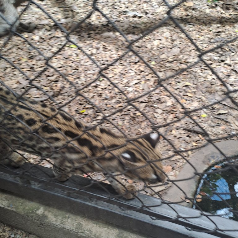 20250524_125245.jpg