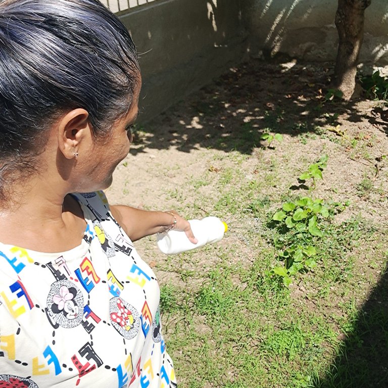 1000806493.jpg